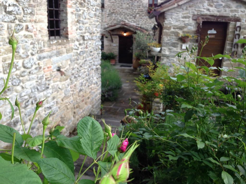 Agriturismo Biologico Castello Della Pieve Hotel แมร์คาเตลโลซุลเมเตาโร ภายนอก รูปภาพ