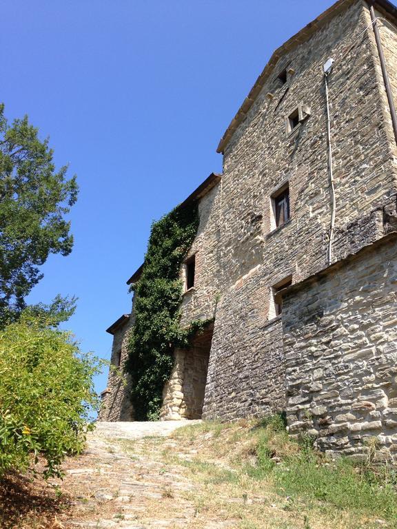 Agriturismo Biologico Castello Della Pieve Hotel แมร์คาเตลโลซุลเมเตาโร ภายนอก รูปภาพ